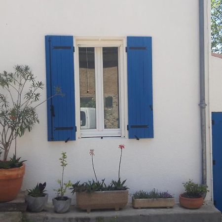 Maison Occitane Saint-Nazaire-d'Aude Zewnętrze zdjęcie